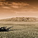 Illustration for article titled This Novel Will Change How You See the California Drought